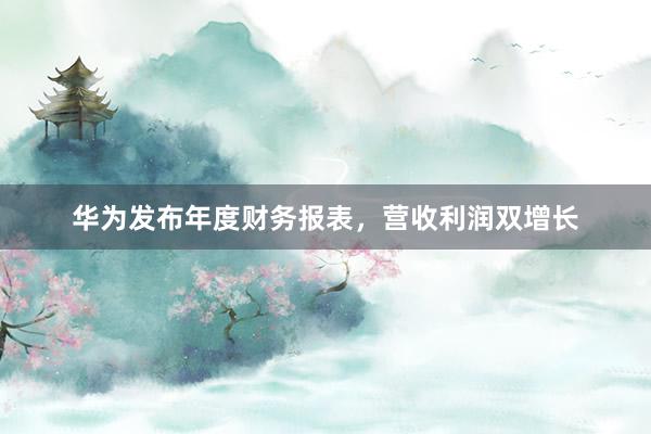 华为发布年度财务报表，营收利润双增长