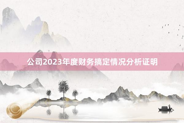 公司2023年度财务搞定情况分析证明