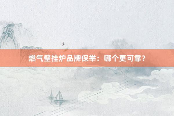 燃气壁挂炉品牌保举：哪个更可靠？
