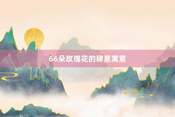 66朵玫瑰花的肆意寓意