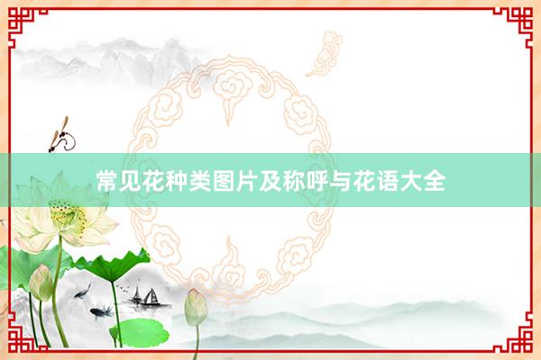 常见花种类图片及称呼与花语大全